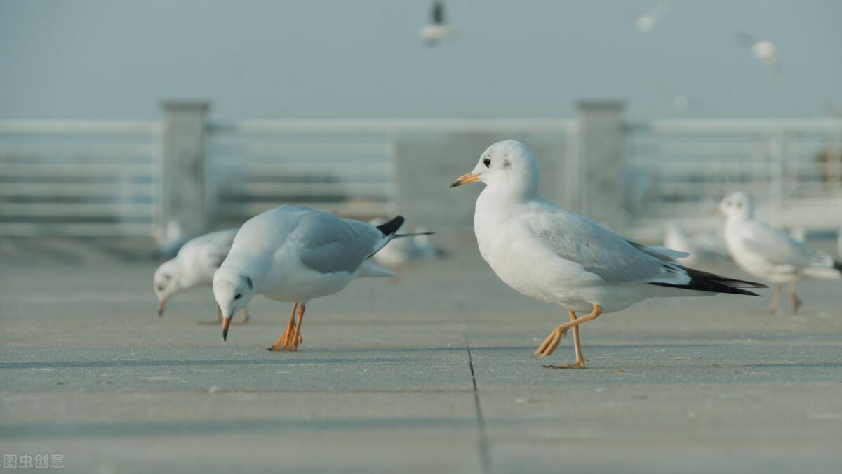 滕州|郭进拴|雨中游滇池