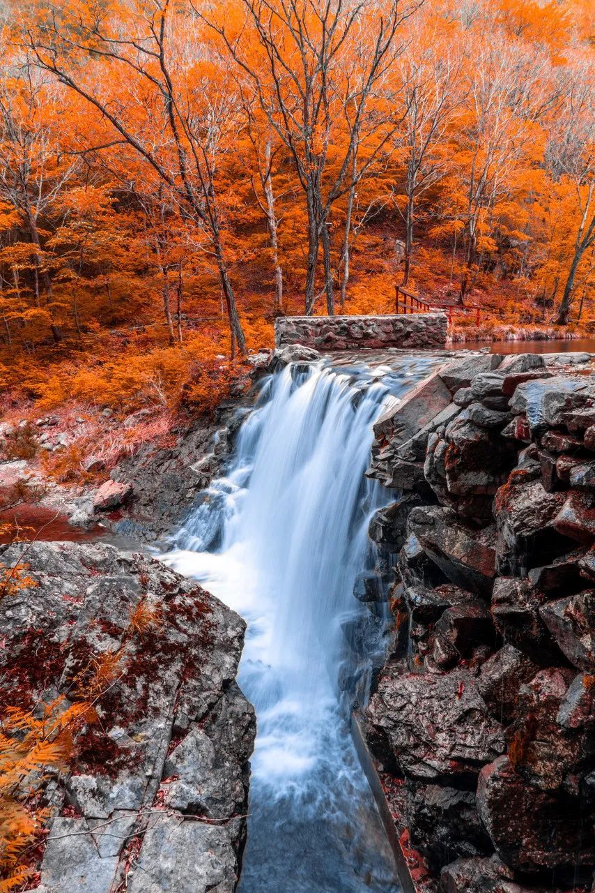 安徽|比日本唯美,比香山震撼,浪漫醉人的小城,藏着中国最美的秋天!