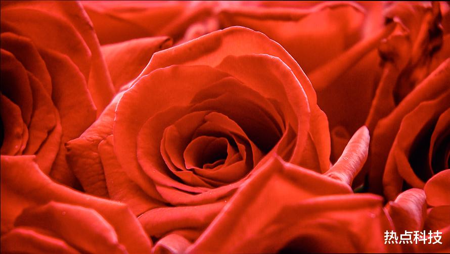 shopee|创维Q31 Pro电视评测：不仅仅是你的家庭娱乐中心