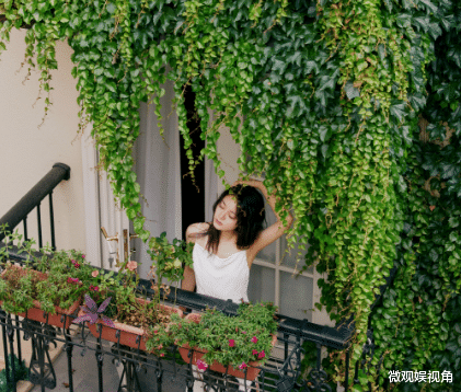 赵今麦|赵今麦直播因美上热搜，评论当仁不让的争论了起来