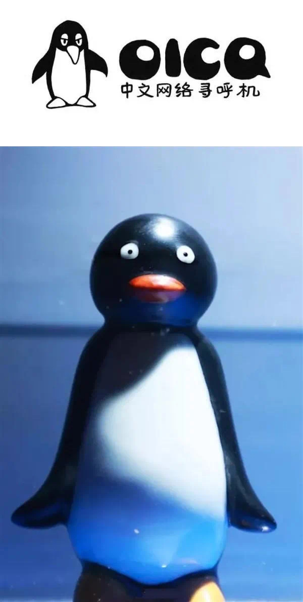 腾讯|奇怪的知识增加了 腾讯初代目企鹅形象