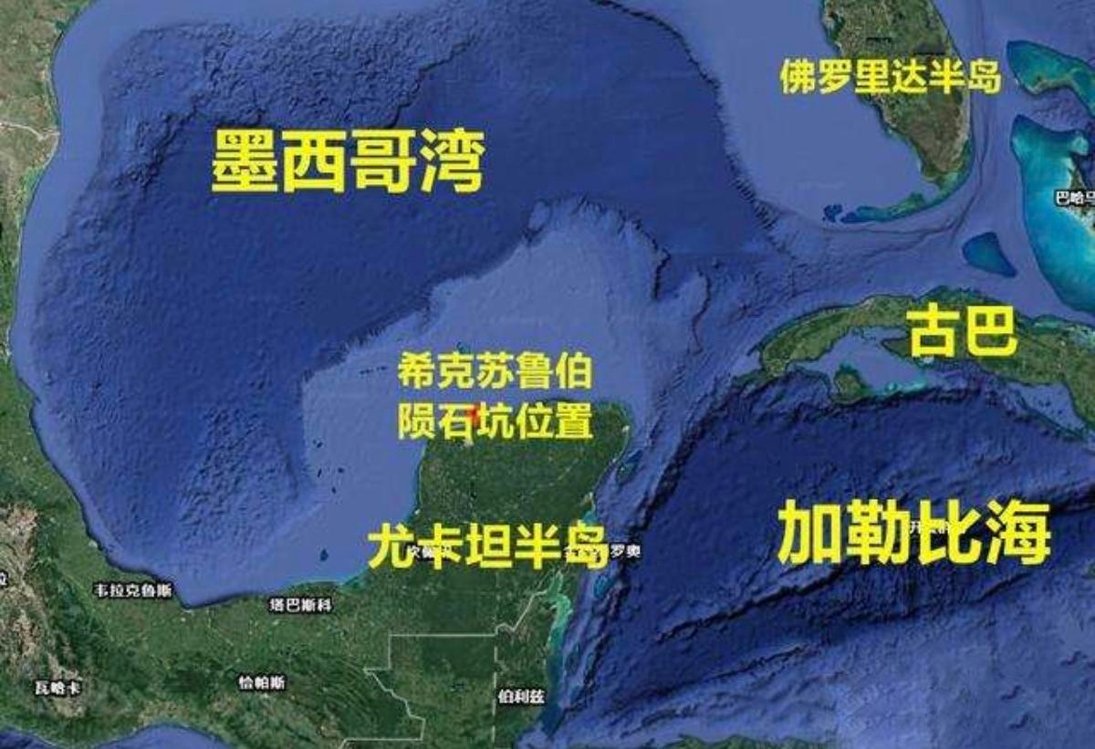 地球上曾发生5次生物大灭绝,什么原因导致的?人类在制造第6次?