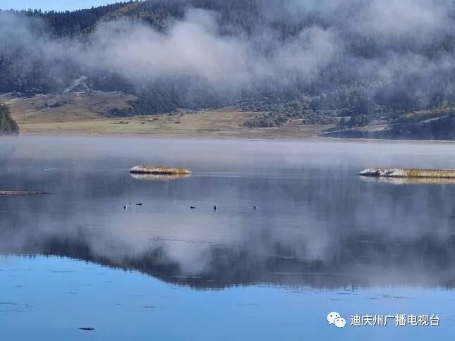 金佛山|美景欣赏,香格里拉深秋普达措上演“冰雪奇缘”