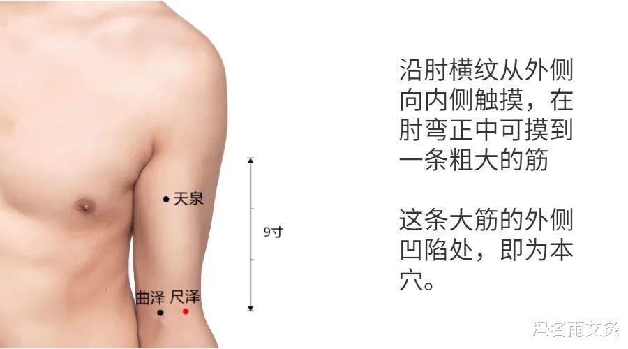 中药|烧心:胃不好的看过来,反酸烧心的克星,三个穴位需谨记