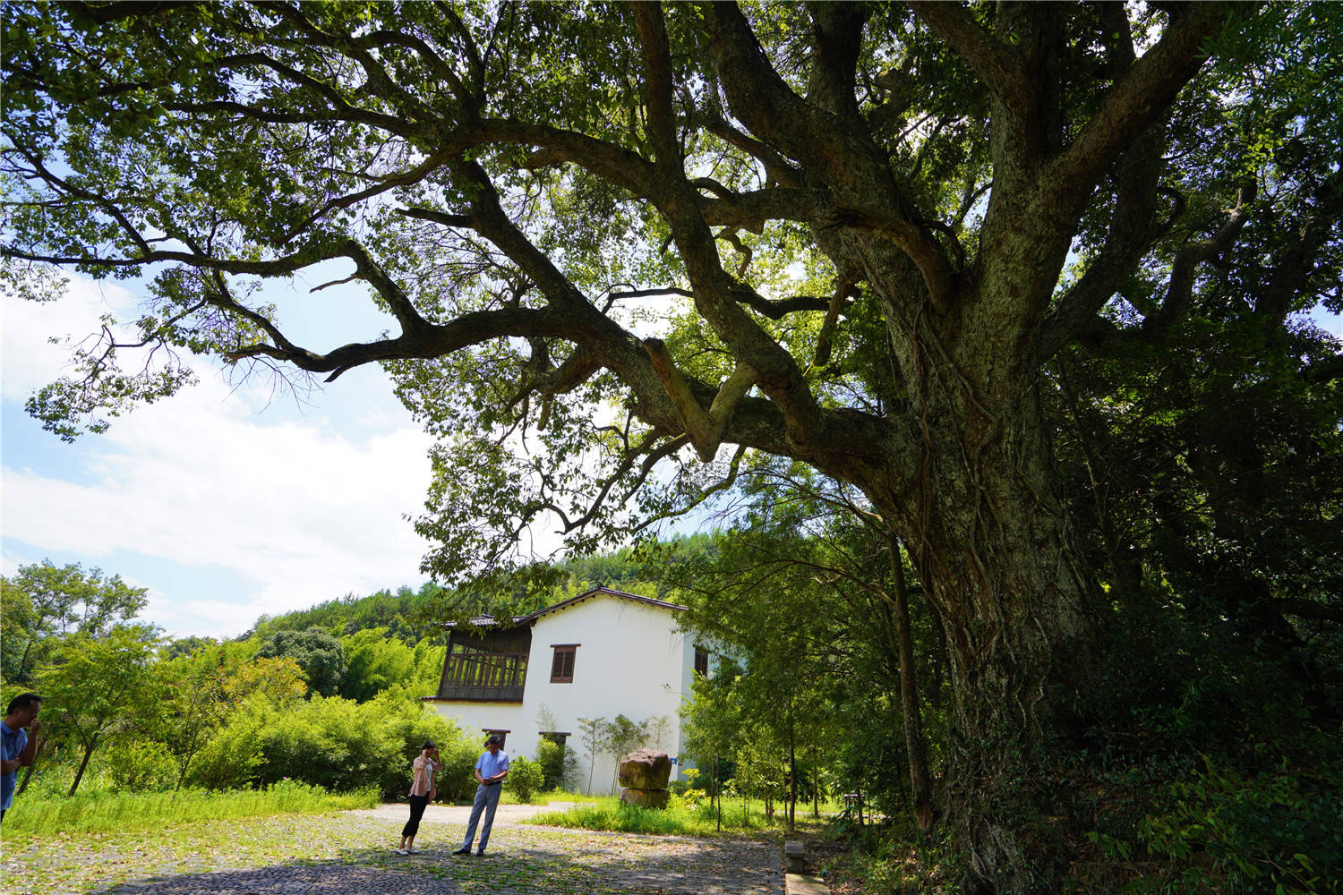 |福建邵武云灵山:峡谷漂流,云灵湖玩皮划艇,4天3晚还没有尽兴