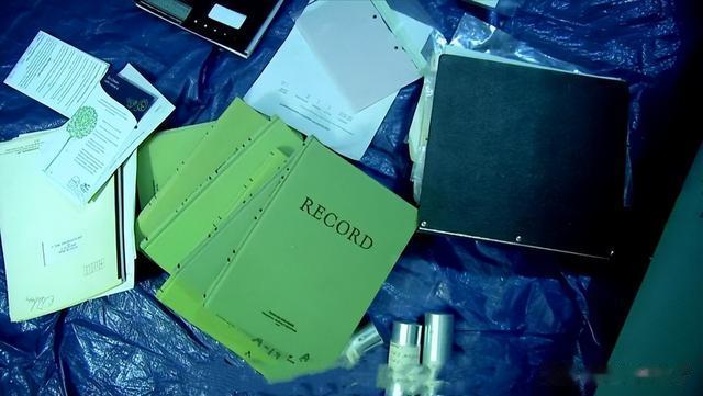 NASA月球岩石盗窃案，实习生盗窃岩石，理由极为荒诞