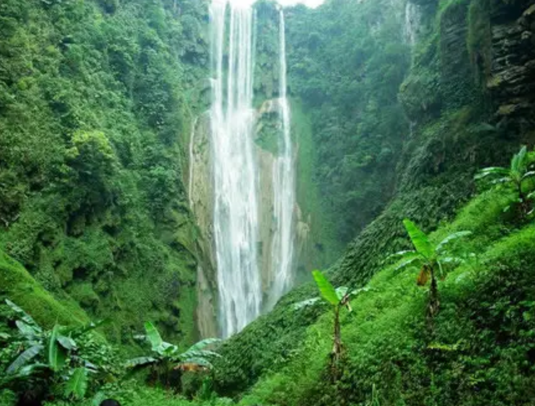 伊犁|来宾不愧是“世界瑶都”,这里景点的景色真不错啊!