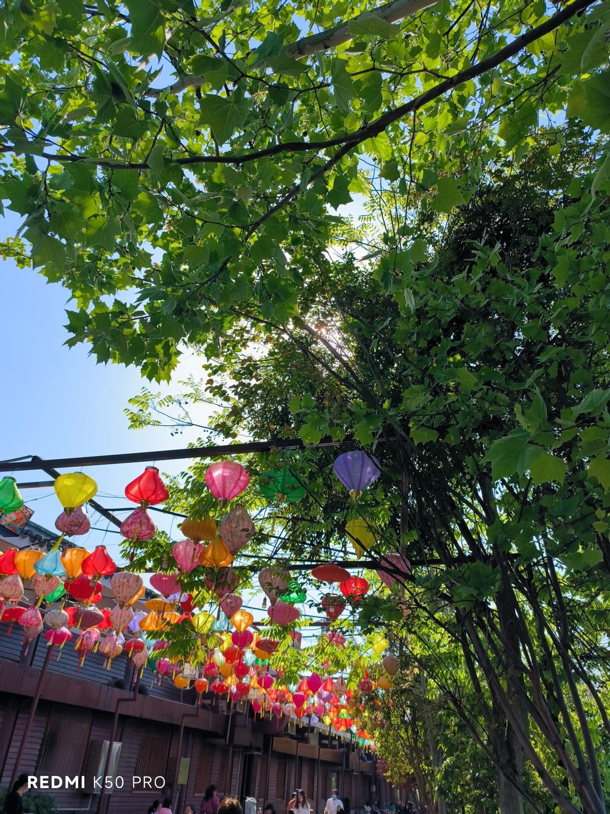 红米手机|Redmi K50 Pro评测: 为延续销量神话,卢伟冰拼尽全力成就顶级性价比