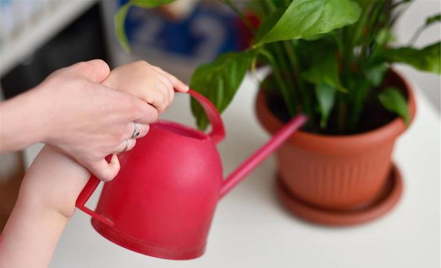 啃老|33岁女大学生在家啃老十年：你们剪掉了我的翅膀，却怪我不会飞翔