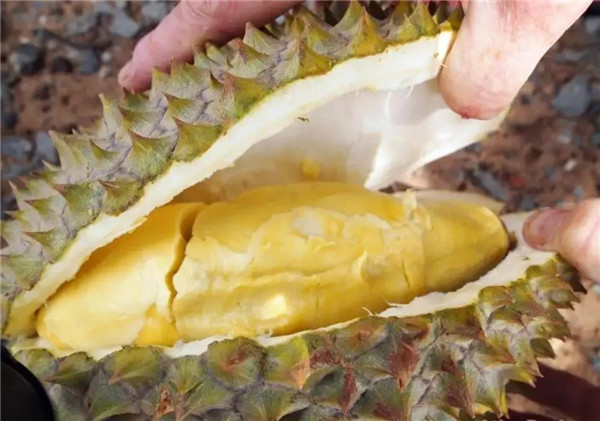 衰老|这些水果产量极高，在原产地卖超便宜，在中国却要卖高价