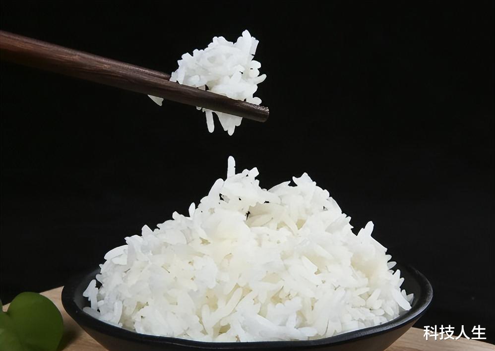 家里大米老生虫?原来是忽略了“这个细节”,看完分享给身边人