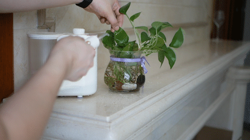 全家人的深层口腔清洁保障, OcareLink智能家庭款冲牙器