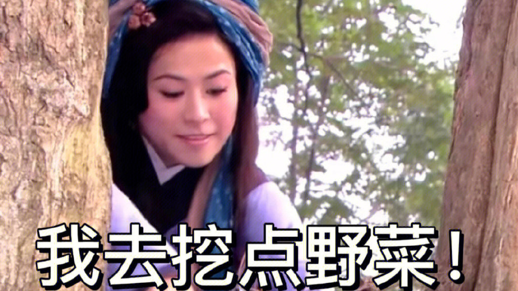 陈浩民|王宝钏挖野菜梗出圈，陈浩民发文回应，却引发网友不满