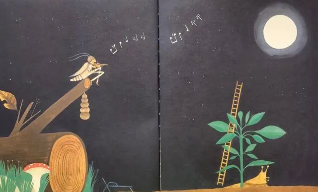 锐化感官力,从微观世界寻找快乐!一本提升孩子审美力的绘本