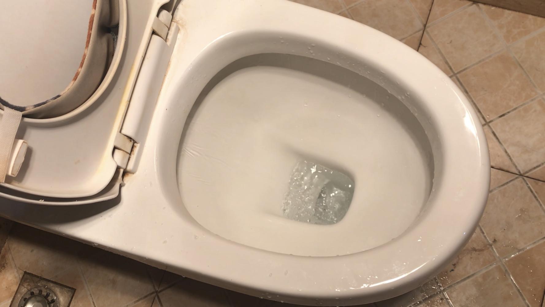 为何国外的马桶圈上有个“缺口”,国内却没有?看完涨知识了