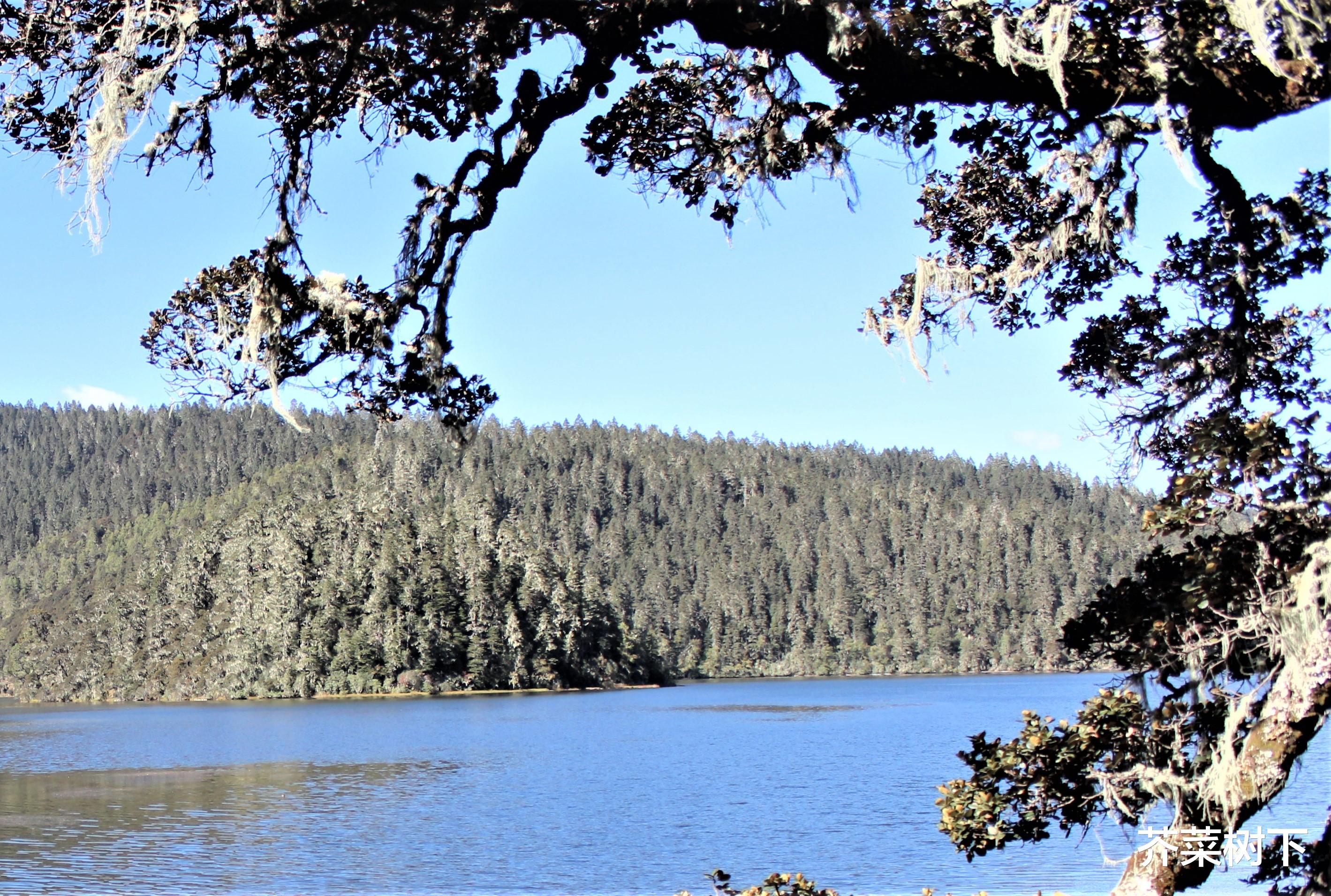 营收|职场,有没有弱者的空间