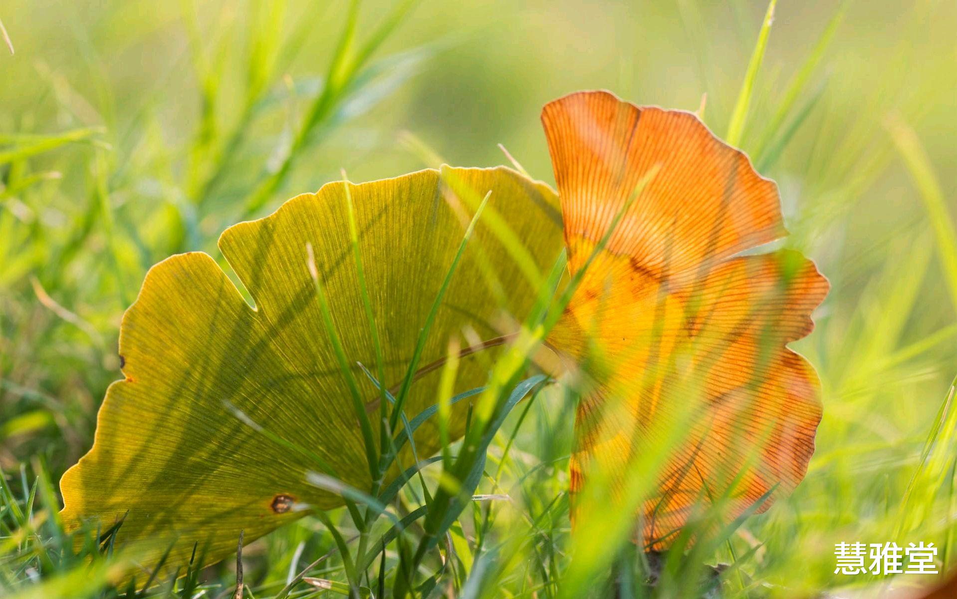 脾胃|中秋过后,早晚温差加大了,日常做对5件事,护好你一身阳气