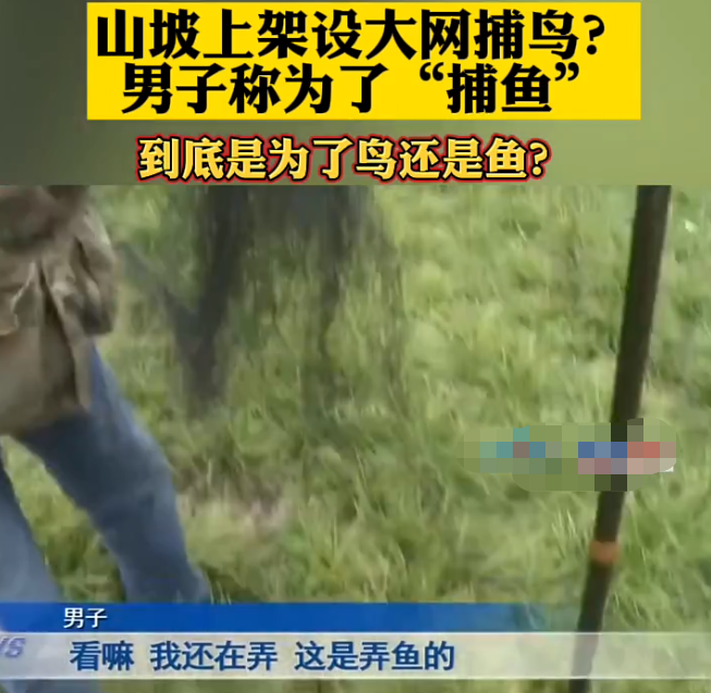 重庆|山坡架粘网, 却说为7月份捕鱼, 重庆一男子的这个说法你会相信么？