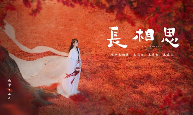 魔女2|《长相思》杨紫白衣造型曝光，手里提着凤凰花，是赴死的虐心剧情