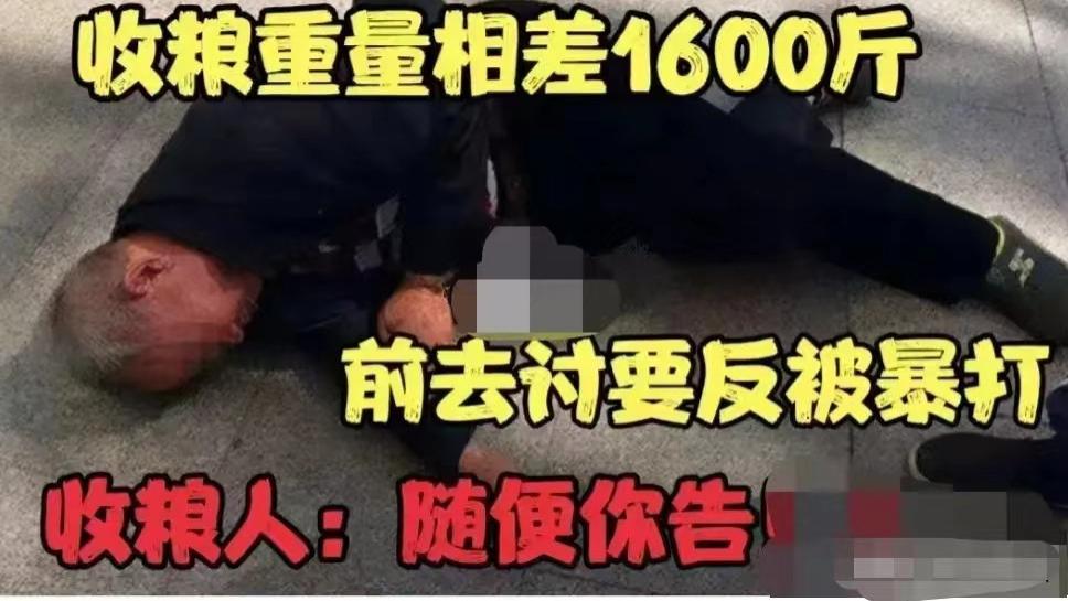 老汉卖粮单据与实际重量相差1600斤，上门讨要说法反被打，收粮人：随便你告