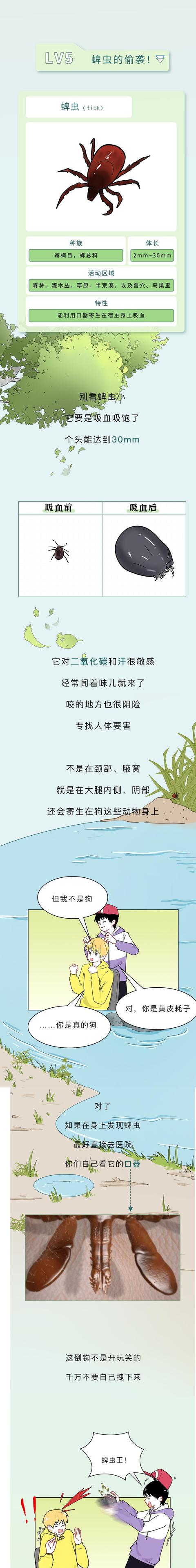 警惕!最近看到这些虫子,千万不能拍