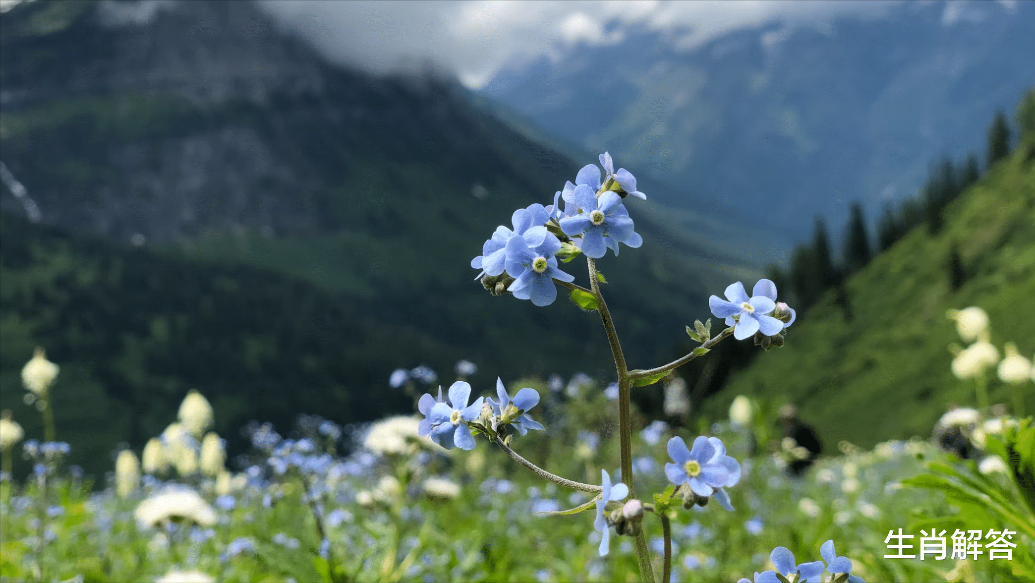 狮子座|从不讨好，只想过好自己日子的星座，不纠结、不计较、不纠缠