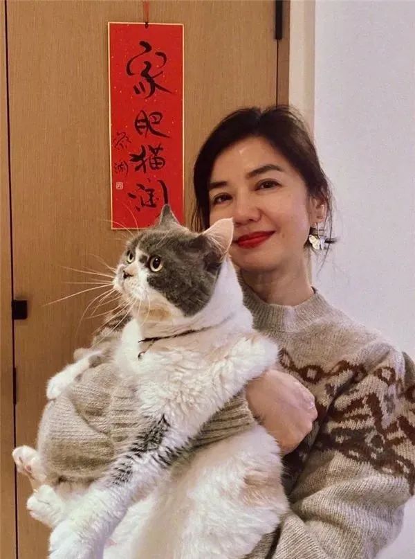 蔡琴|至今没生孩子的11位中老年女星，独居遗憾，亿万身家没子女继承