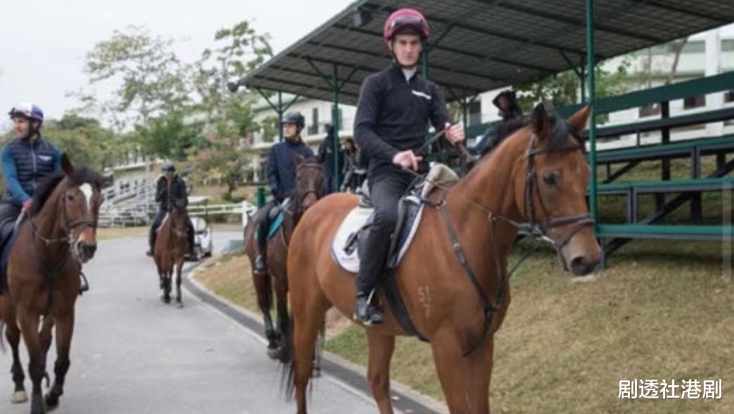 方力申|圈中笋盘！知名港星罕晒千尺豪宅，家中堆满藏品连厕所马桶旁也有