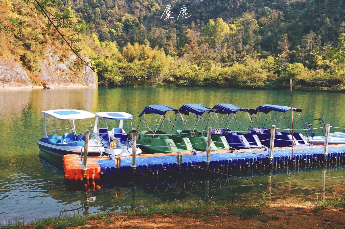 楠溪江|郭进拴|梦幻楠溪江