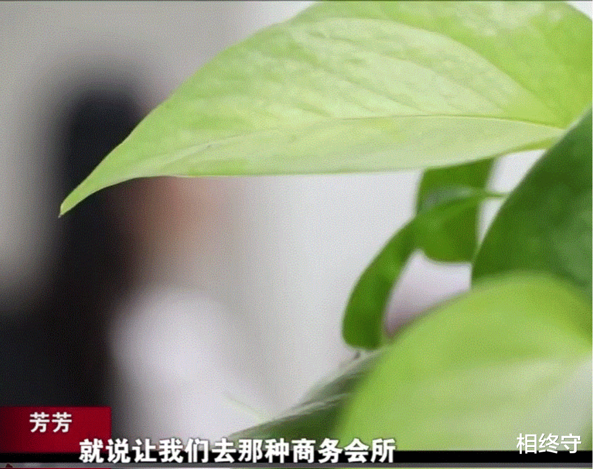 整容|“起初称招网红模特，后来又让我去商务会所工作”黔宸集团诈骗案