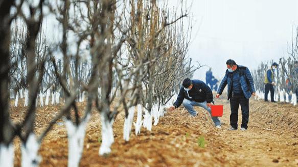 山东一7旬残疾老汉荒山种树80万棵，曾被登报表扬，16年后竟被逮捕了