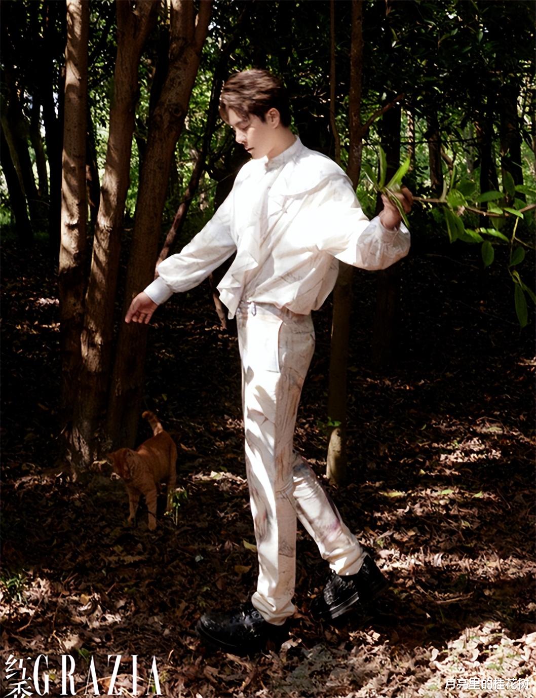 郭晓婷|徐海乔郭晓婷杂志大片,容昊和赤地在竹林再次相遇,网友:求二搭