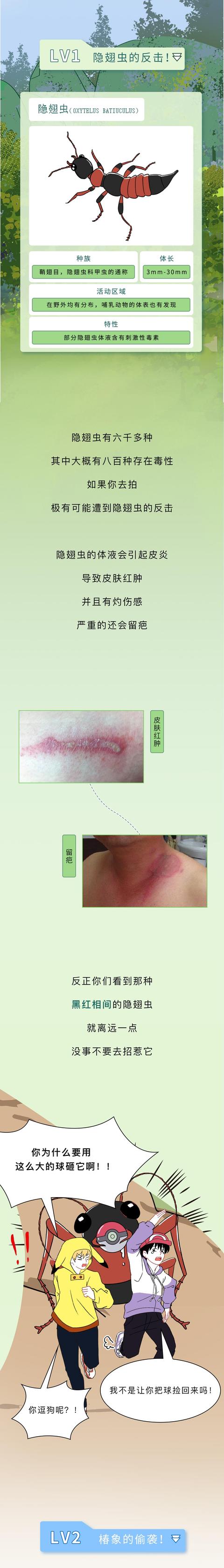 警惕!最近看到这些虫子,千万不能拍