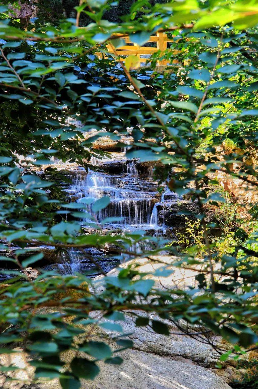 |这座宜居Top1的海滨老城,一到夏天,就美得让人欲罢不能