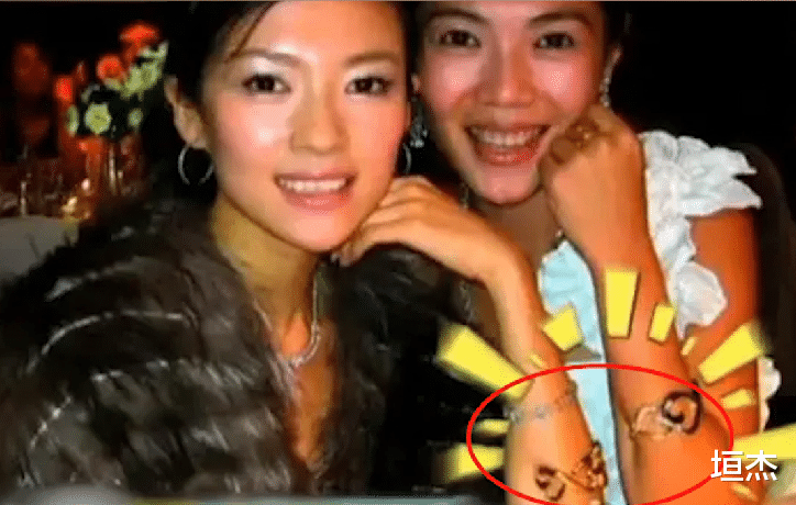 苏芒|苏芒:用丑照毁掉伊能静,公然摸富豪大腿,遭名门痞女洪晃暗讽