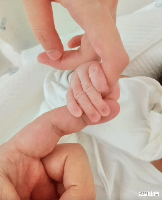 明星|1个月内10对明星结婚：有人引发争议，有人备受嘲讽，个个很精彩