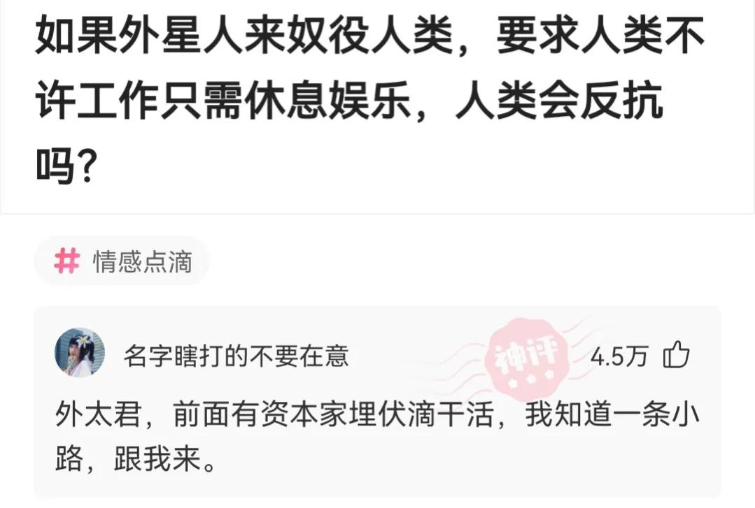 明星|神回复：哪位明星满足了你对异性的所有幻想？