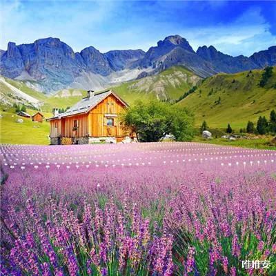 退休|退休后，要不要再找一份工作？3位老人深刻的经历给你答案