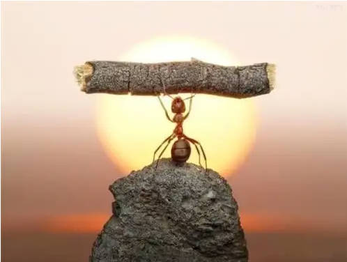 黑盒研究方法,有时候会更加接近真相