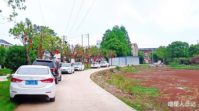 武汉|在武汉郊区一座休闲农庄随拍，小别墅井然有序，还有一座湖心鸟岛