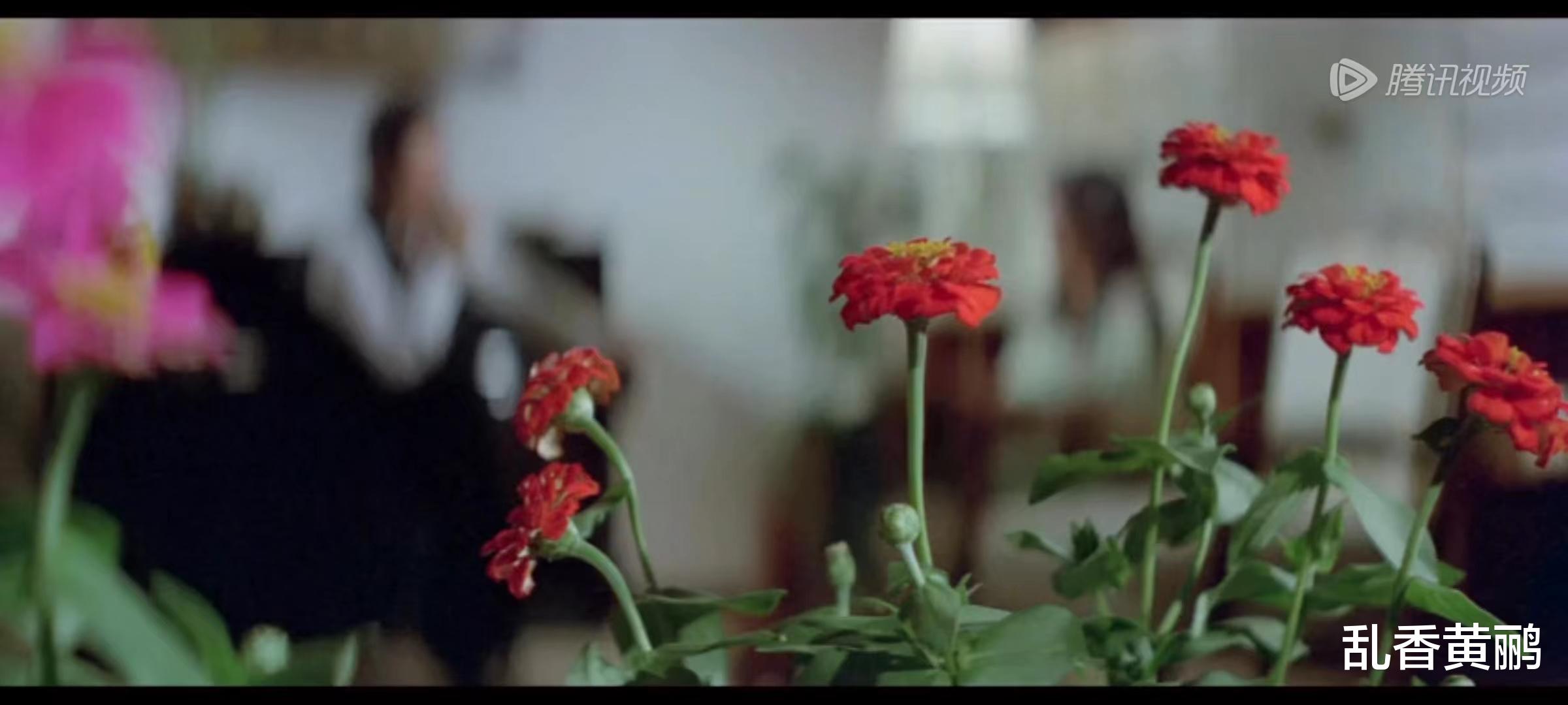 林青霞|42年过去了，再看《金盏花》，林青霞的22套裙装，依旧时尚洋气