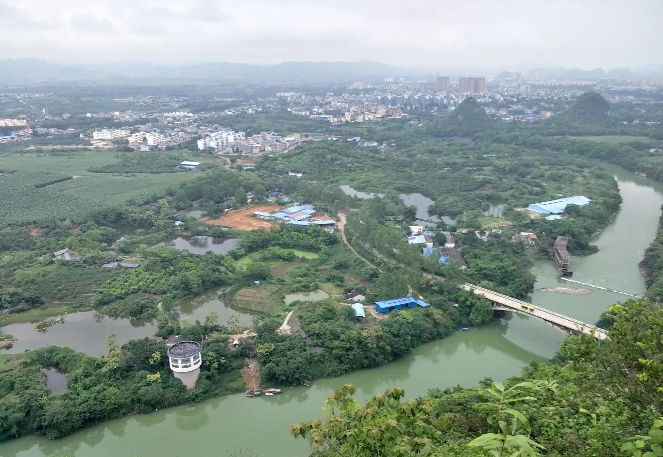 柿子|广西-崇左八景