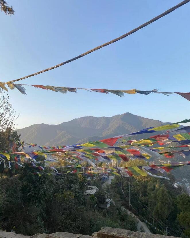 李连杰|李连杰全家游尼泊尔 :60岁利智罕秀恩爱,紧搂老公肩膀同行显甜蜜