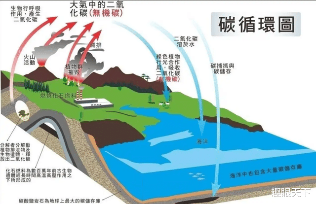 全球变暖真是骗局?南大洋吸碳量比排放量还多5。3亿吨,科学无法解释