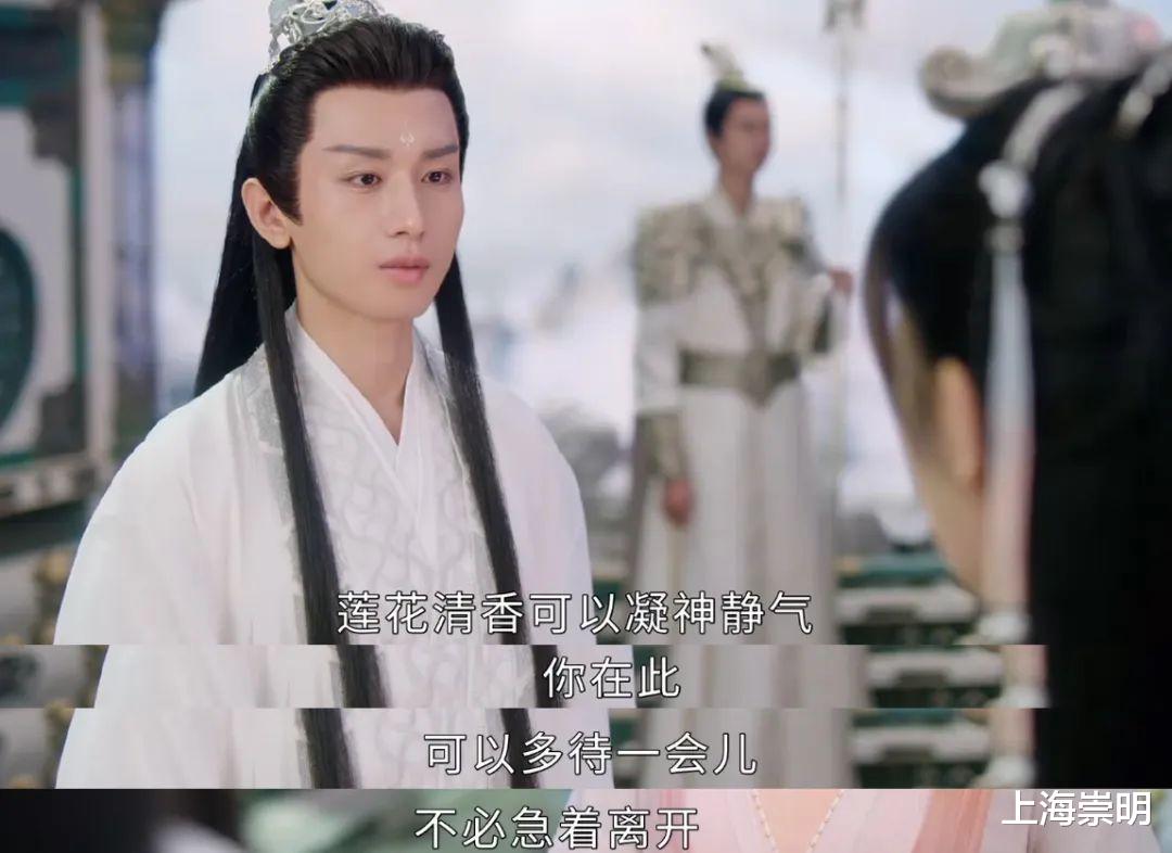 文化节|《沉香如屑》中的四叶菡萏，崇明有很多！