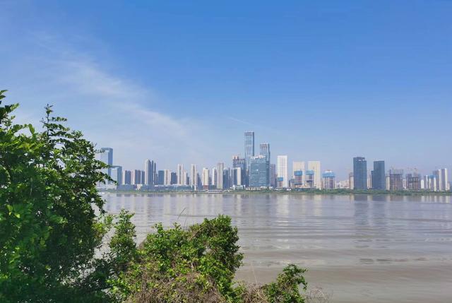 长沙的外滩,两条江河在这里汇聚四周高楼林立,变成了钓鱼天堂