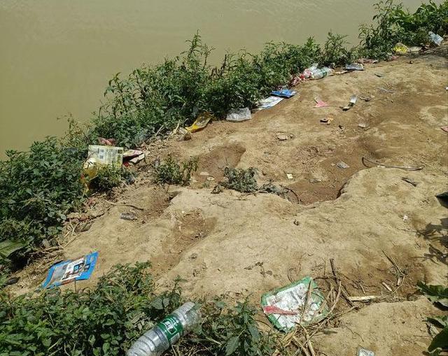 广东省|广东一河道边的神奇场景，大量渔获被随意丢弃，真相让人又喜又气