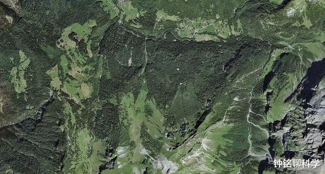 更大的灾难还未降临？研究发现阿尔卑斯山正在变绿，这并不是好事