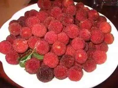 水果|长肉最猛的6种水果,你还当饭吃!尤其前三种