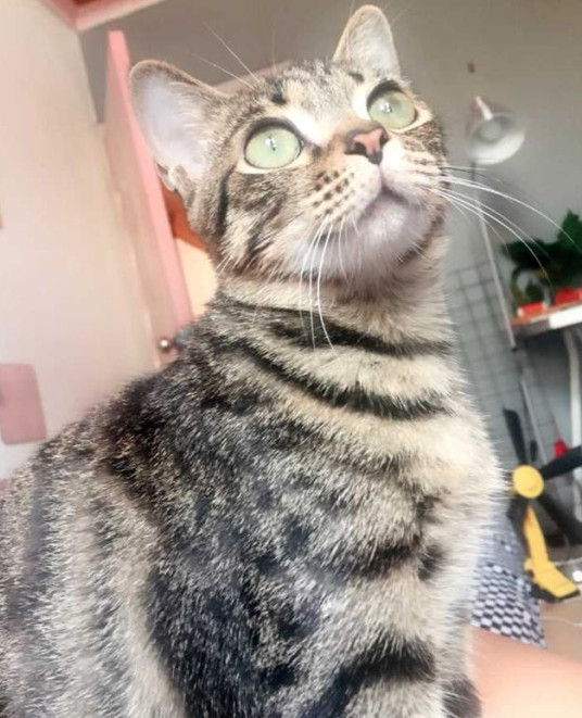 不起眼的8㎡出租房,谁知道简单改造之后,住到不肯走!